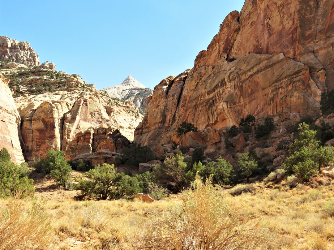 Capitol Gorge Trail景点图片