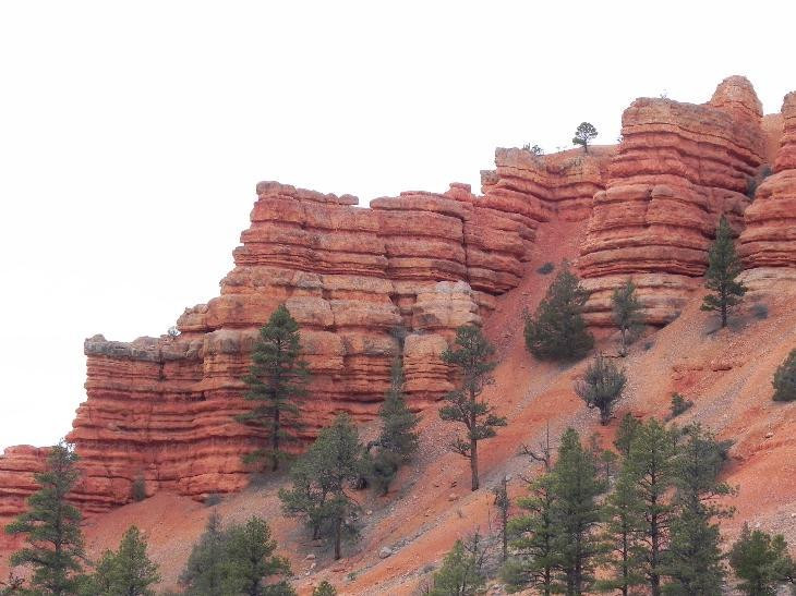 Red Canyon Trail Rides-布莱斯峡谷国家公园必去景点