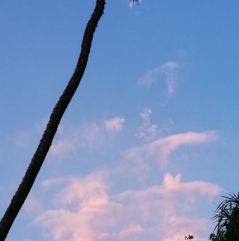 Turtles View Resort主图