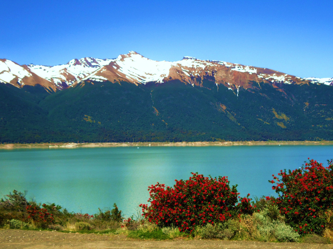 Lago Roca景点图片