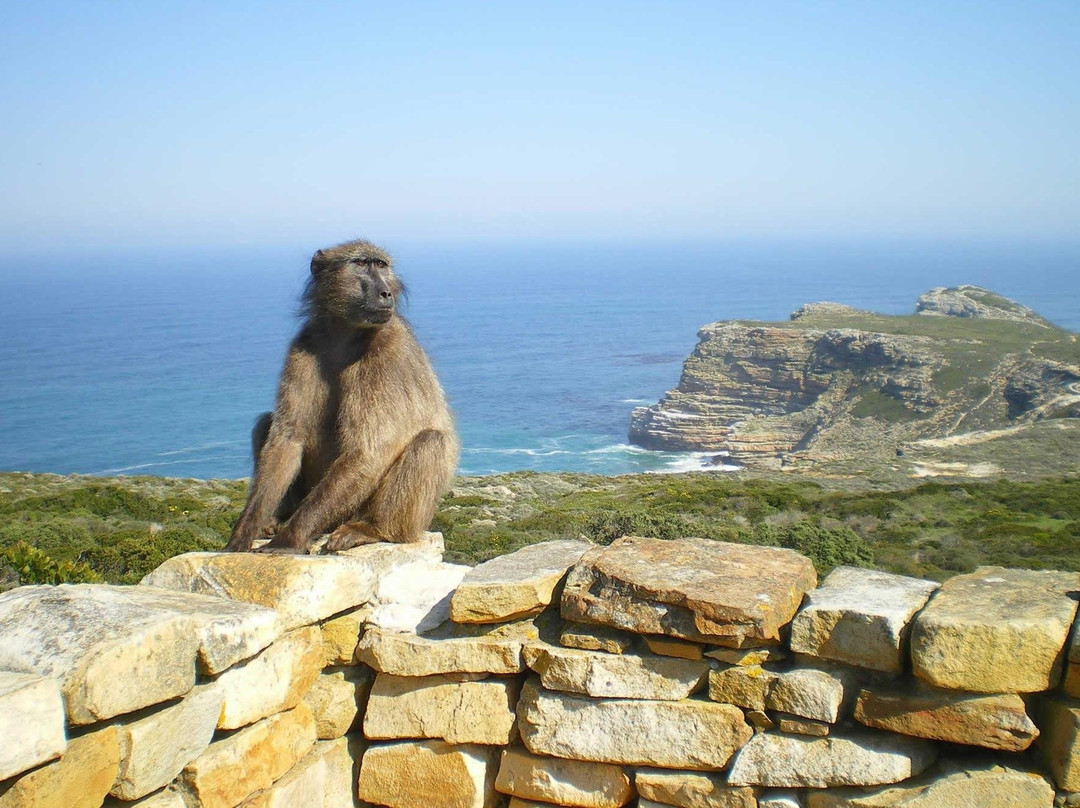 African Nature Quest-约翰内斯堡必去景点