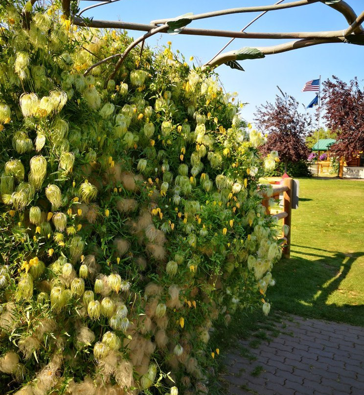 Palmer Museum of History and Art-帕尔默必去景点