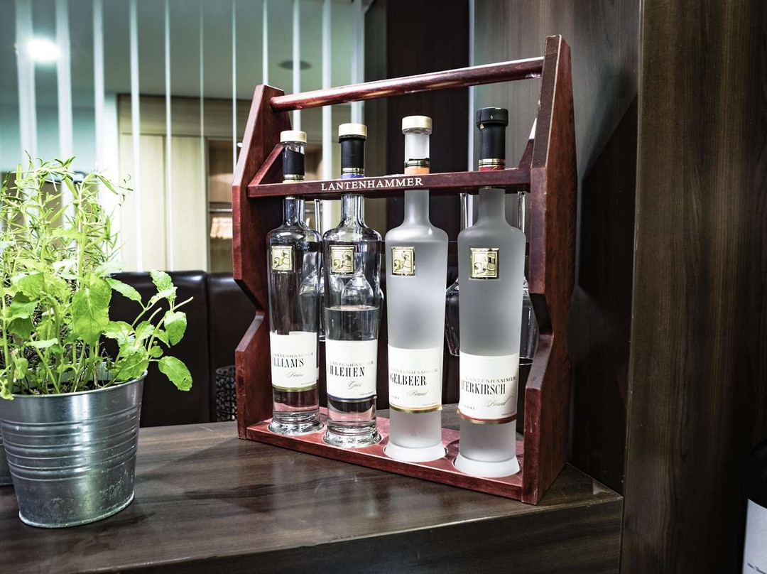 公园由雷迪森酒店汉堡北主图