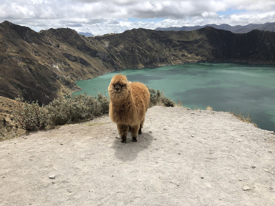 Sendero al Fondo del Crater-Quilotoa必去景点