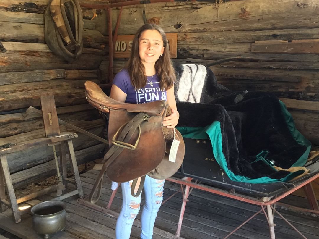 Georgina Pioneer Village景点图片