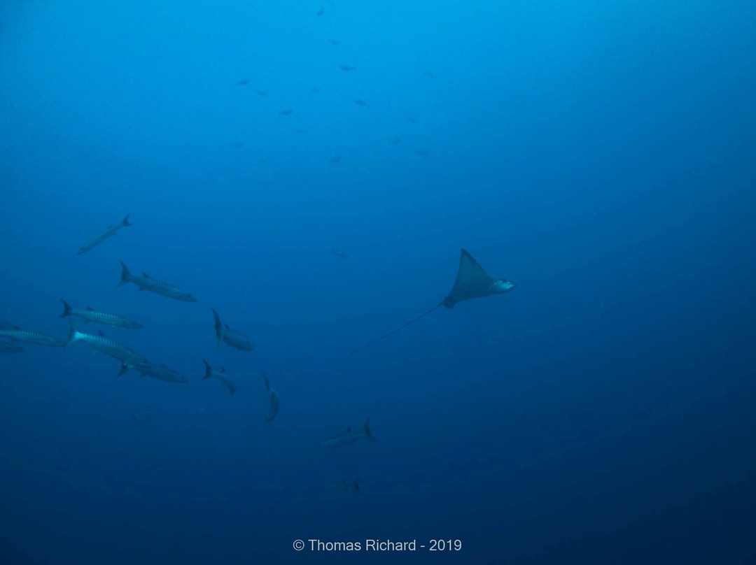 La Foa Plongée-La Foa必去景点