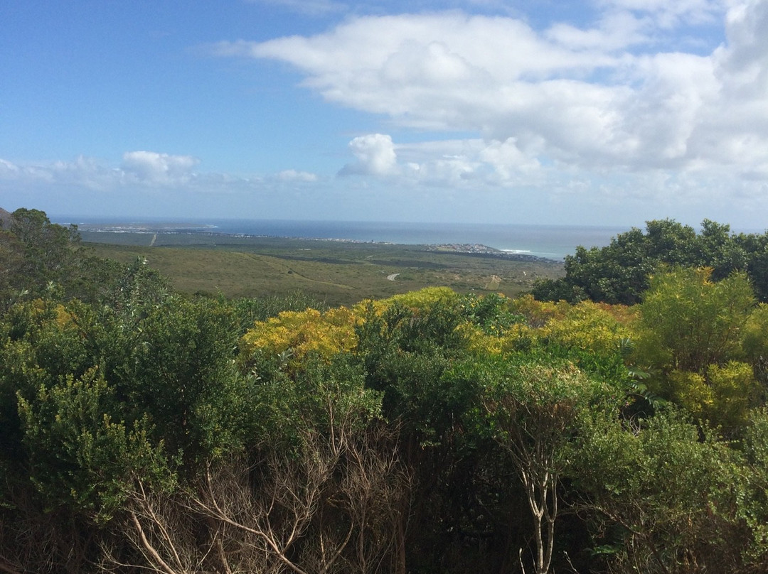大森林私人自然保护区酒店主图