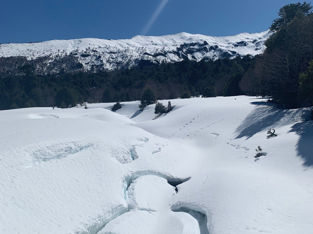 Vortice Park-Curacautin必去景点