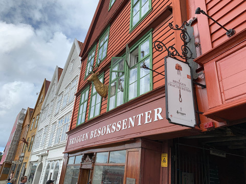 Bryggen Guiding - A Walk With A Historical Expert-卑尔根必去景点