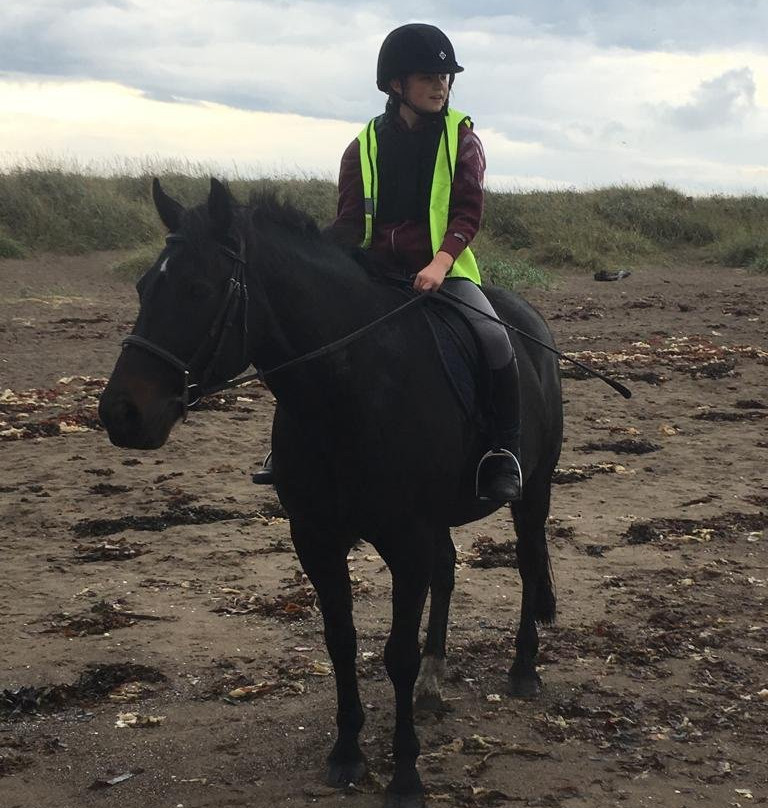 Ayr Equestrian Centre景点图片