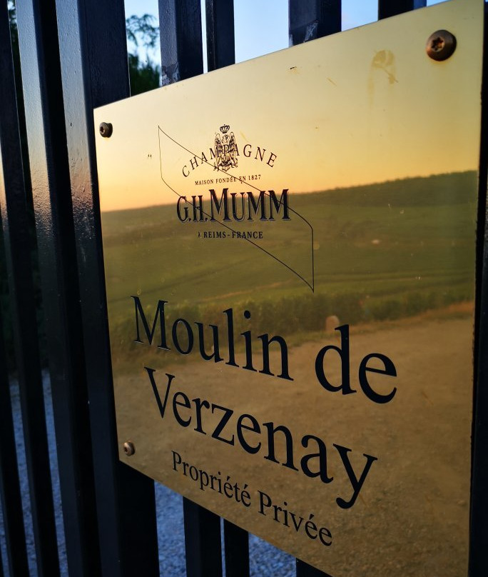 Champagne Route (Route Touristique du Champagne)-Marne必去景点