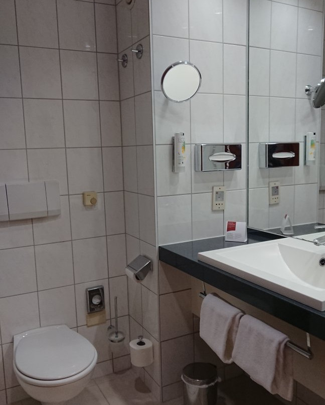 奥地利潮流酒店萨尔斯堡店主图