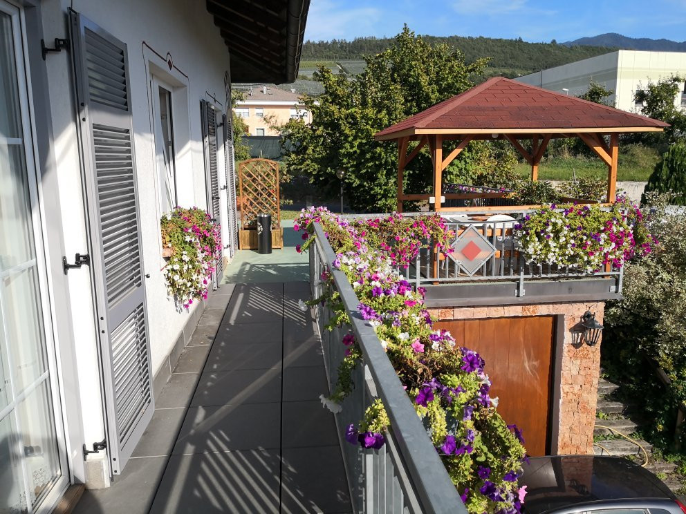 Agritur Casamela主图