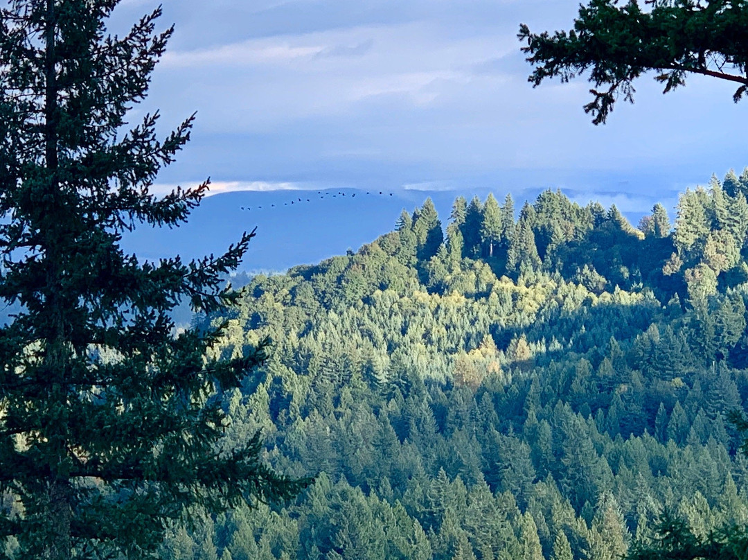 Jonsrud Viewpoint-Sandy必去景点