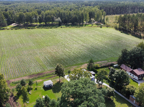 Metras - Lavender Farm