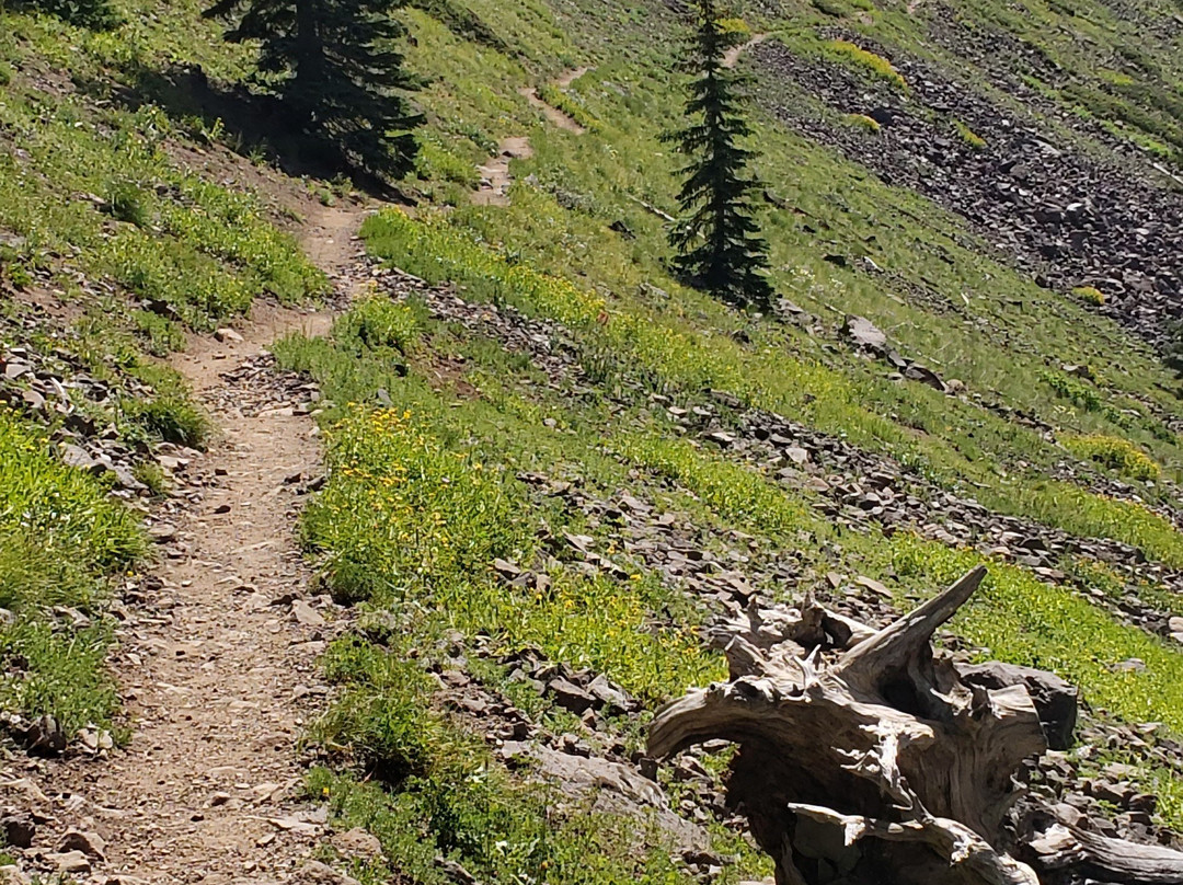 Devil's Causeway Hike-Yampa必去景点