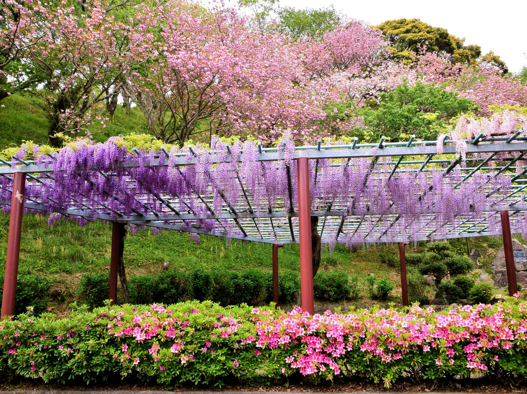 Rengejiike Park景点图片