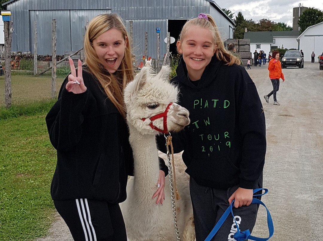 Verger Champetre - Gite & Compagnie-Granby必去景点