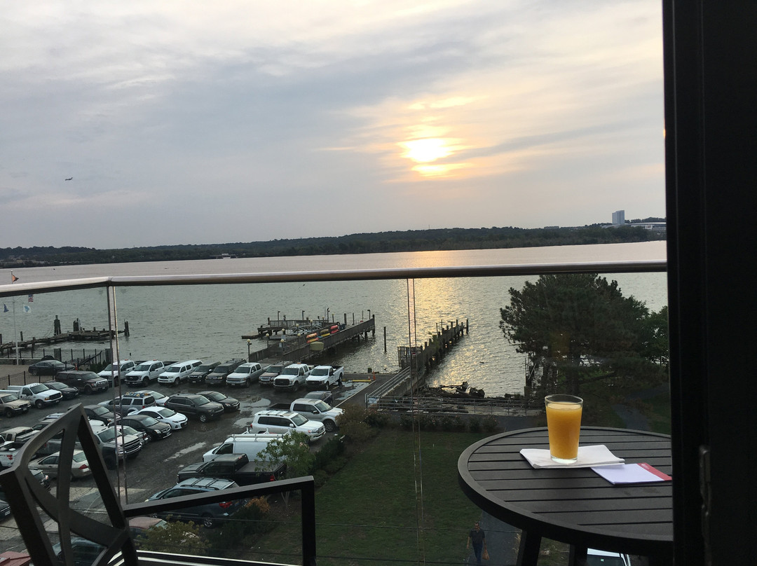 Hotel Indigo Old Town Alexandria by IHG主图