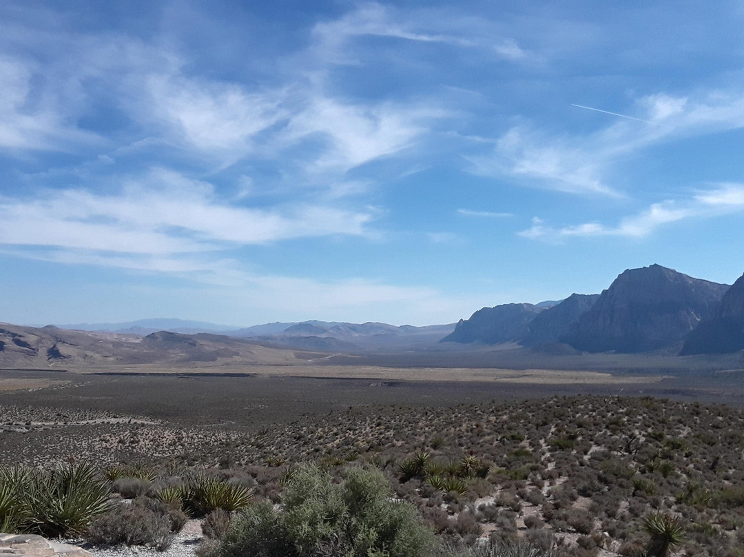 Las Vegas D-Tours-拉斯维加斯必去景点