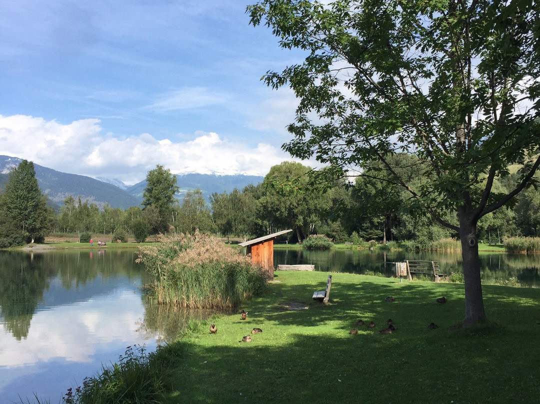 Pista Ciclabile della Val Venosta景点图片