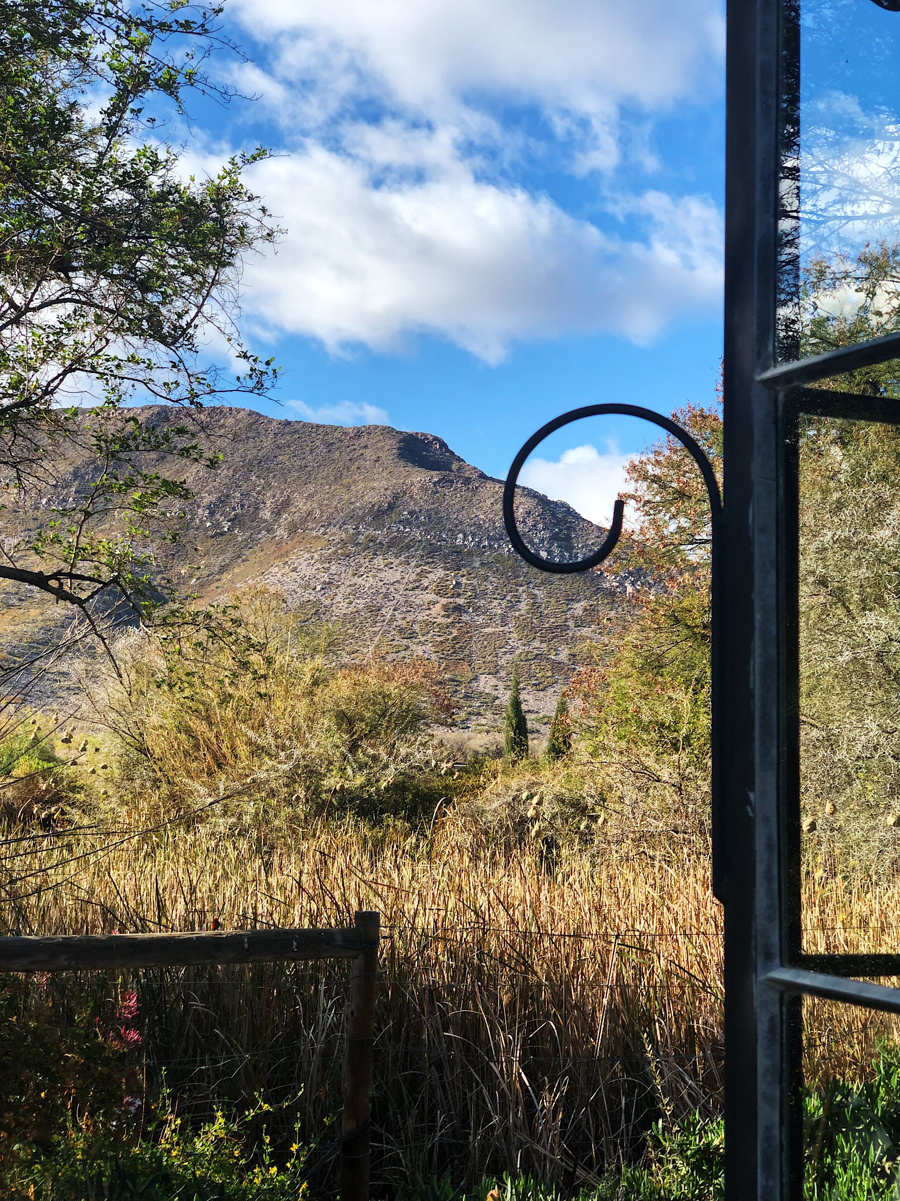 Dennehof Karoo Guesthouse-portrait