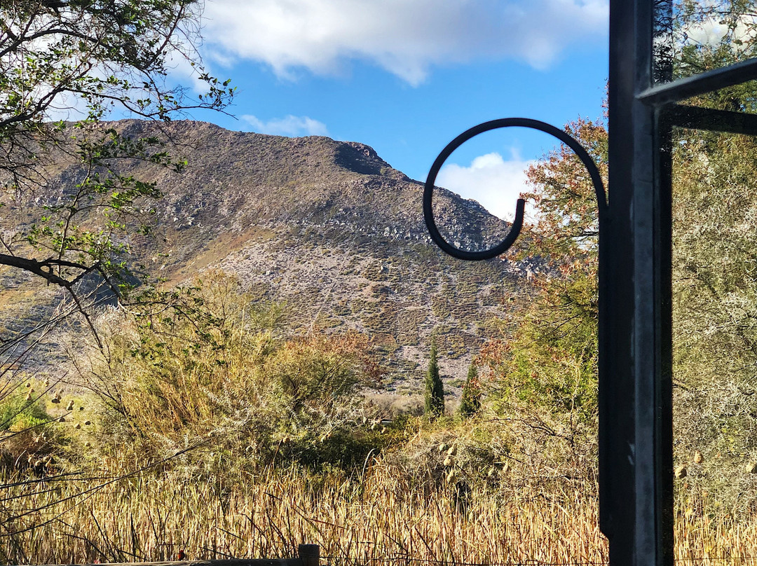 Dennehof Karoo Guesthouse主图