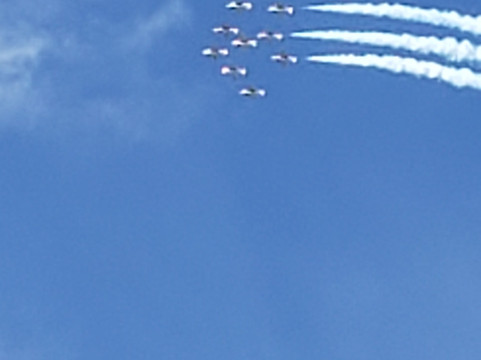 Yankee Lady Yacht Charters-多伦多必去景点