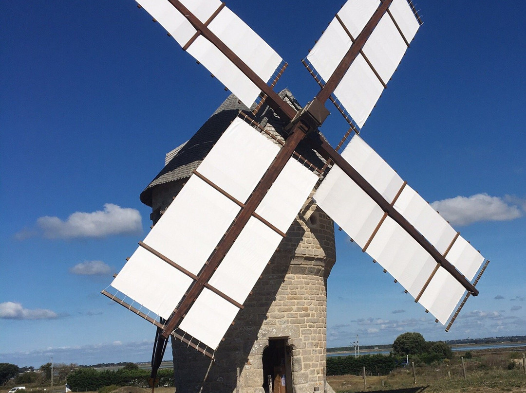 Moulin de la Falaise景点图片