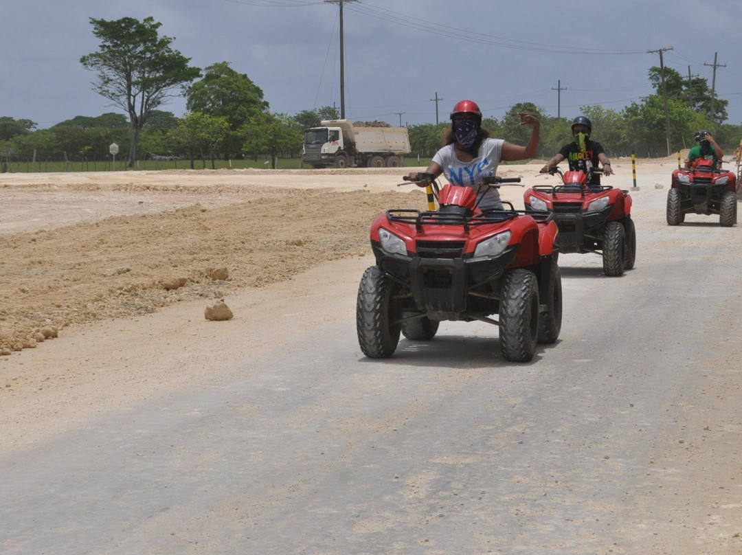 Shelting Tours Operador-蓬塔卡纳必去景点
