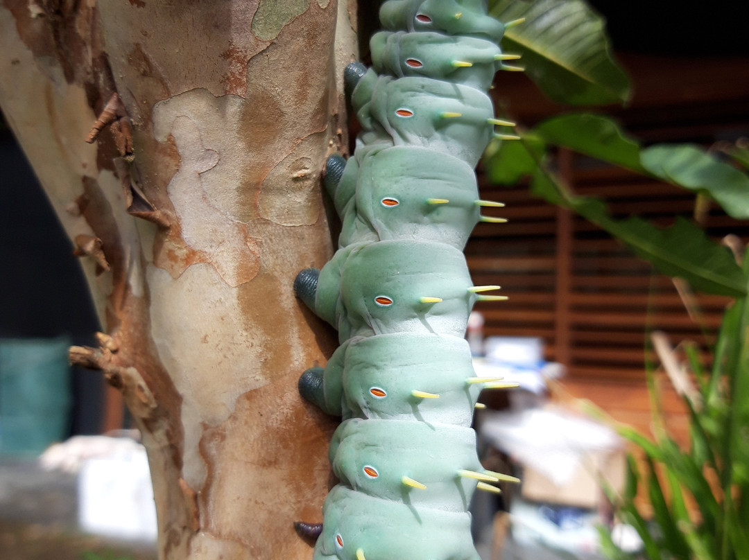 Demi View Motel主图