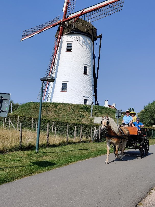 Tour Local-布鲁日必去景点