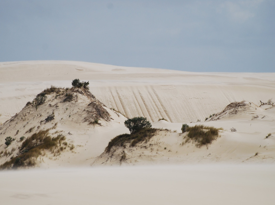 Yeagarup Dunes-彭伯顿必去景点