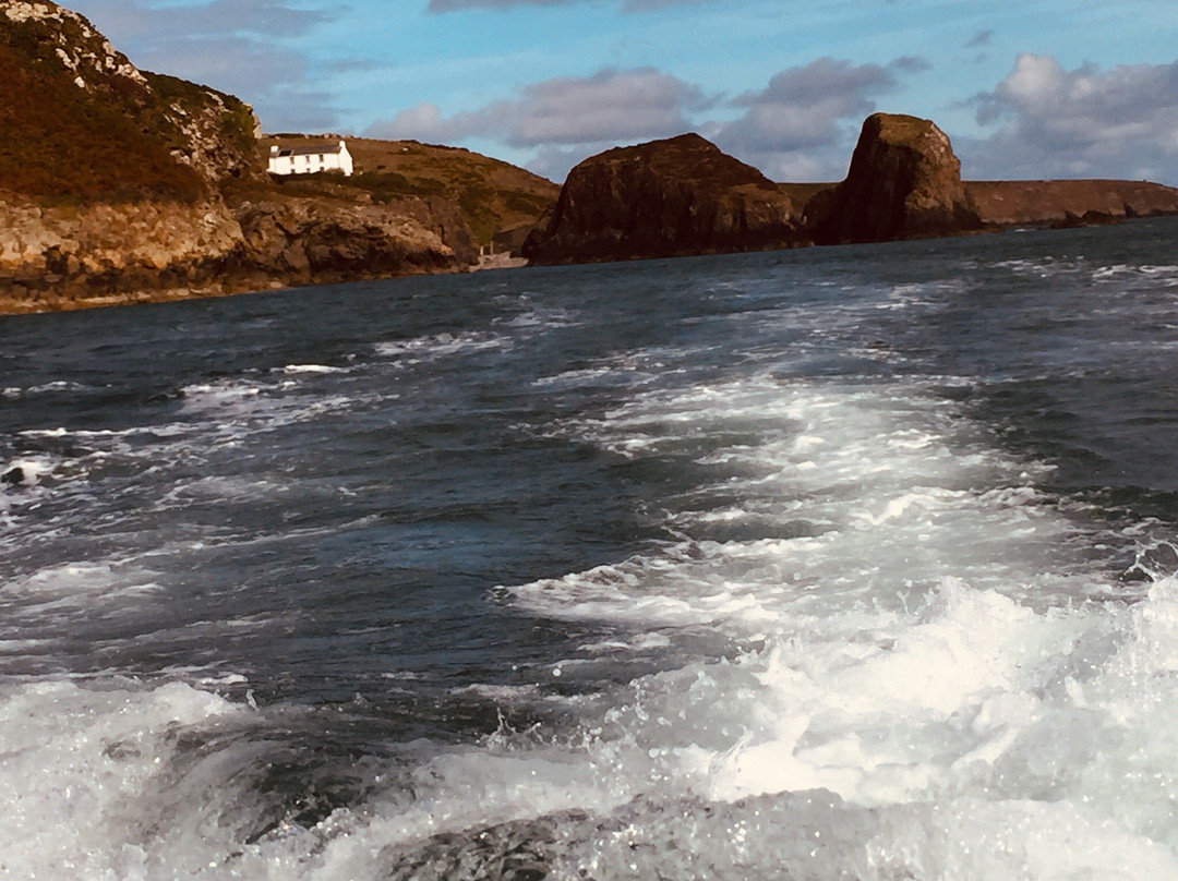 Ramsey Island Nature Reserve-St. Davids必去景点