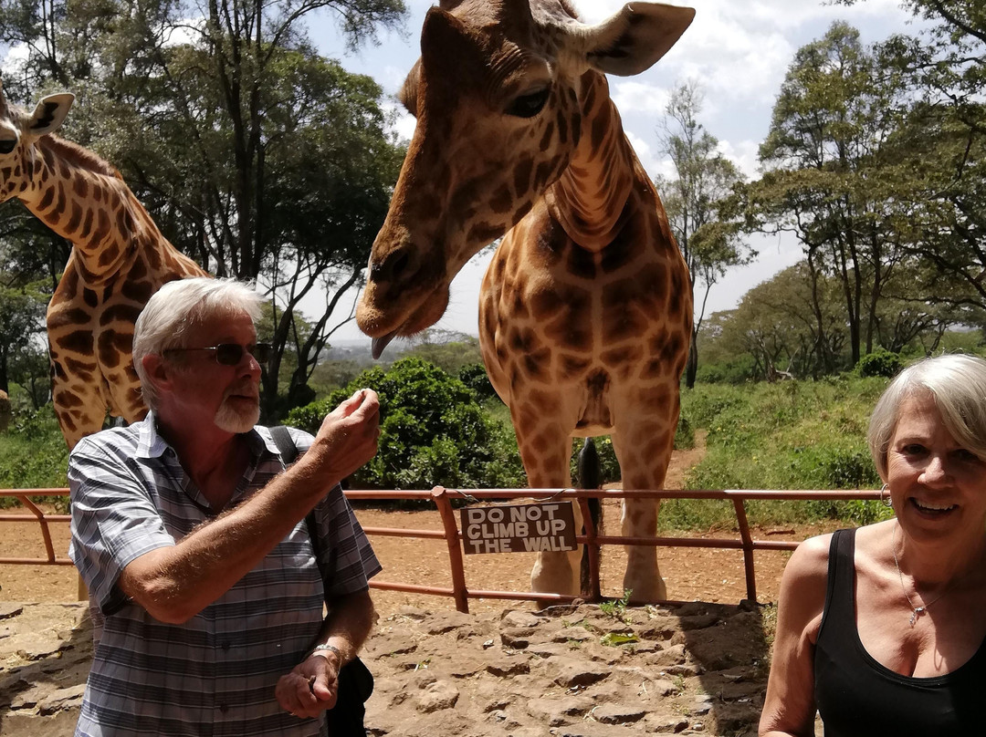 Lorna Safaris-内罗毕必去景点