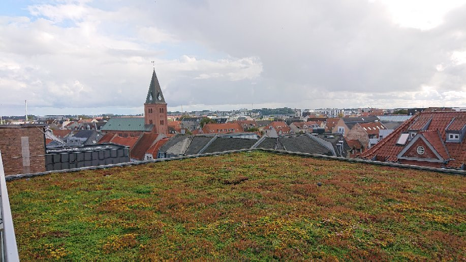 Salling Rooftop Aalborg-奥尔堡必去景点