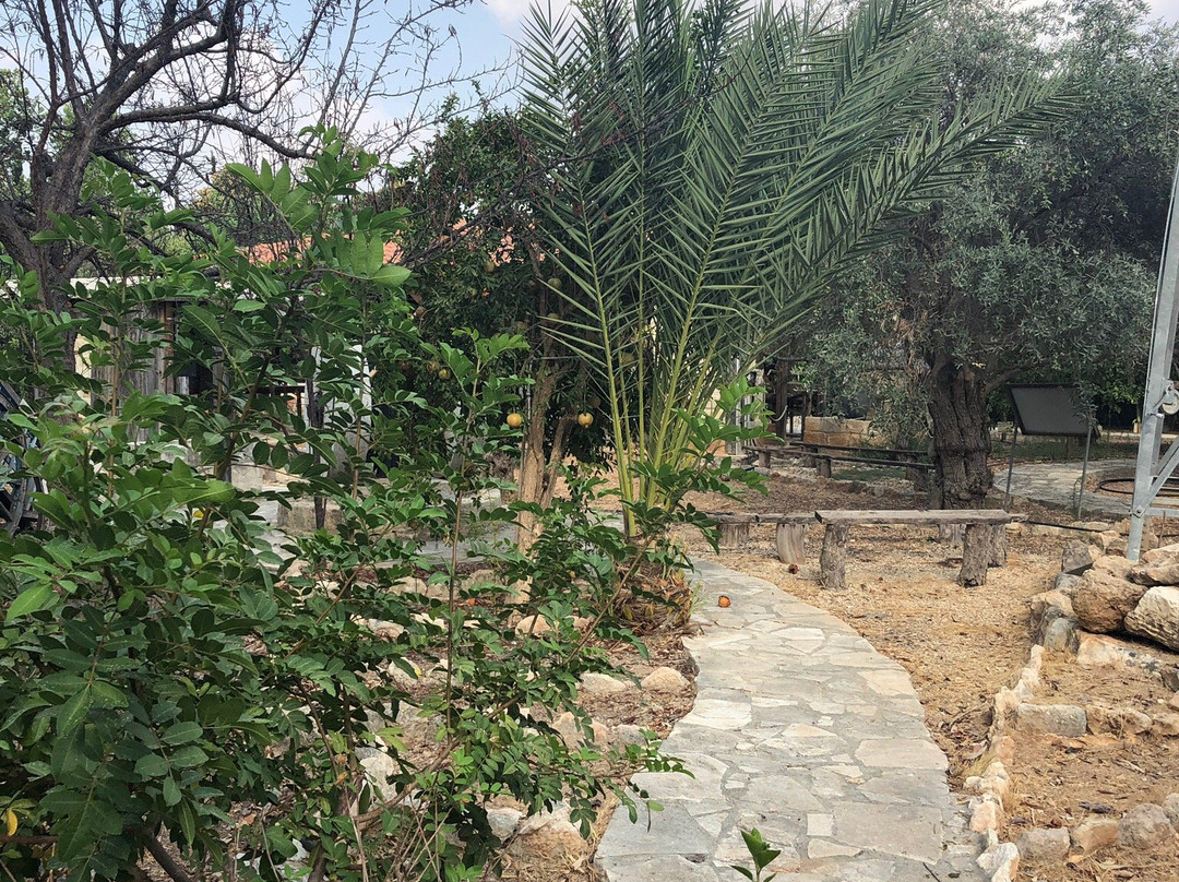 Eleouthkia Traditional and Botanical Park-帕福斯必去景点