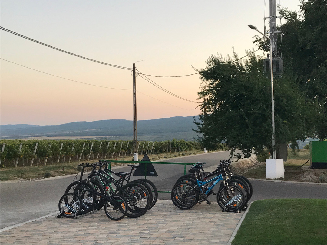 Domeniile Panciu Winery & Resort主图