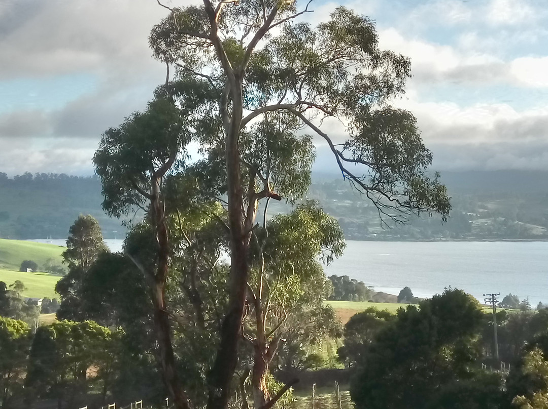 Rosevears Estate主图