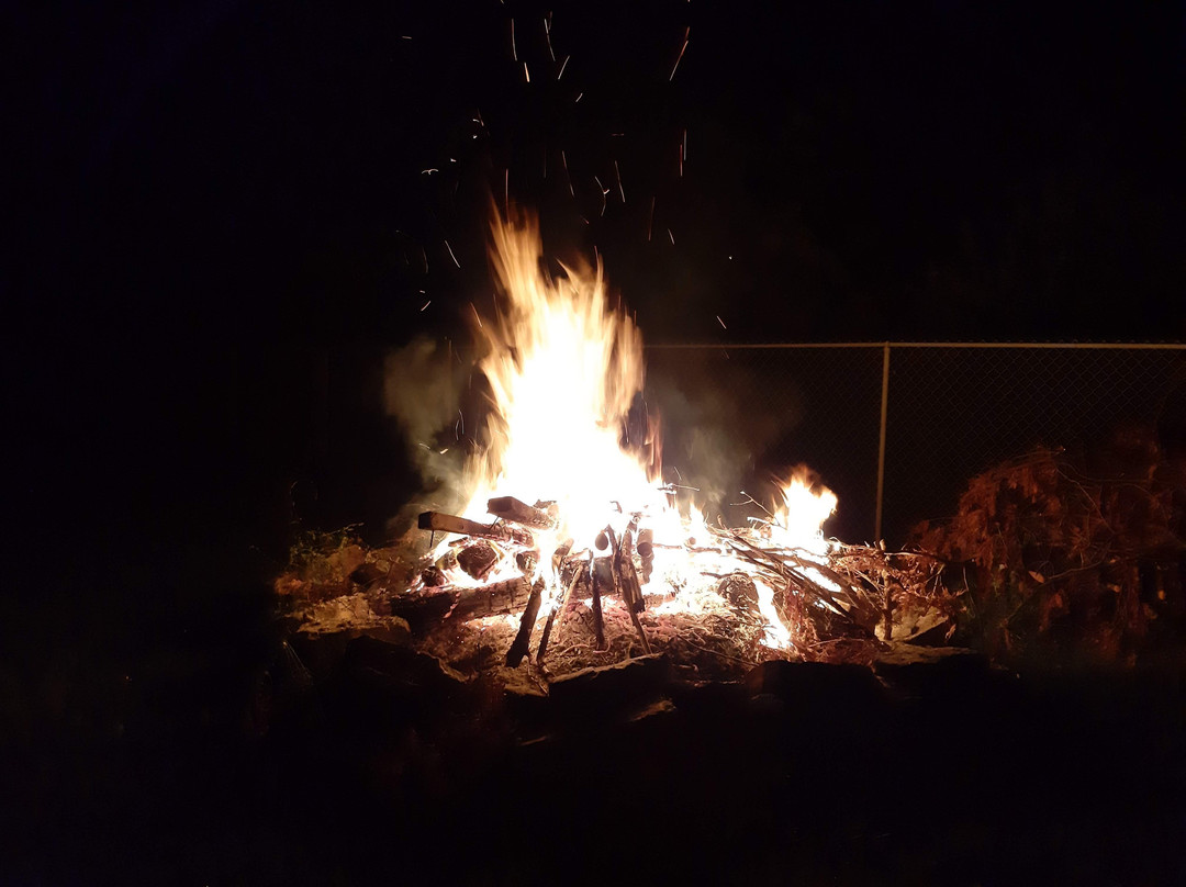 The Boston T B & B主图