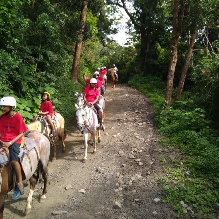 Buena Vista del Rincon Eco Adventure Park Hotel & Spa-portrait