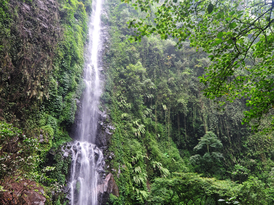 Coban Jodo Waterfall景点图片