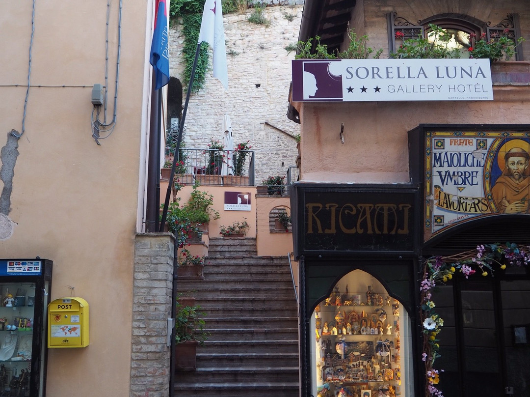 Hotel Sorella Luna主图