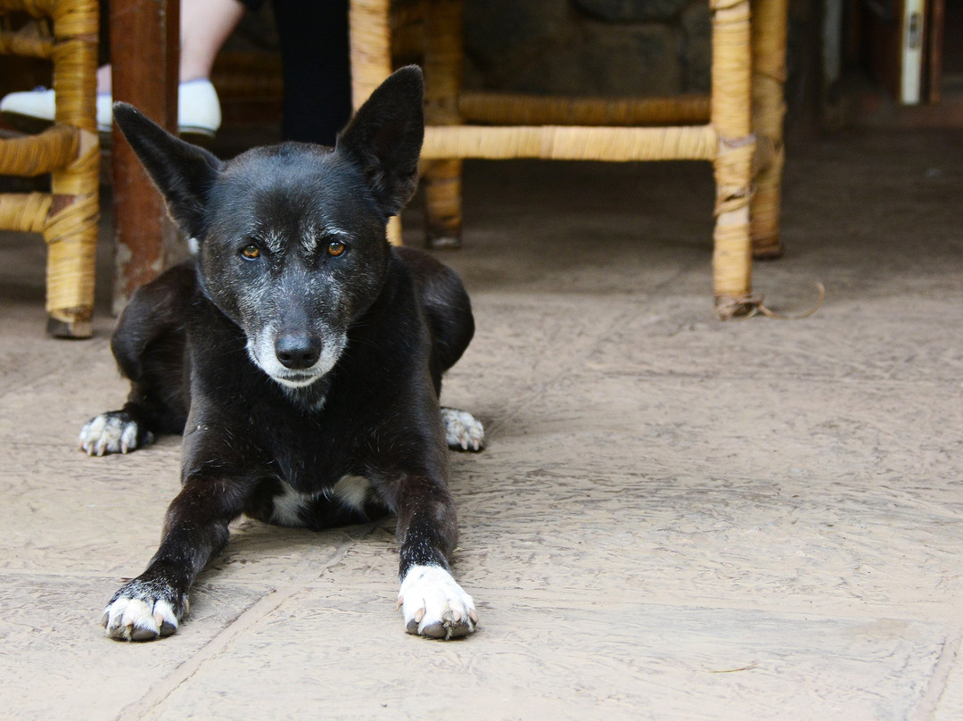 Traveler's Rest Hotel主图