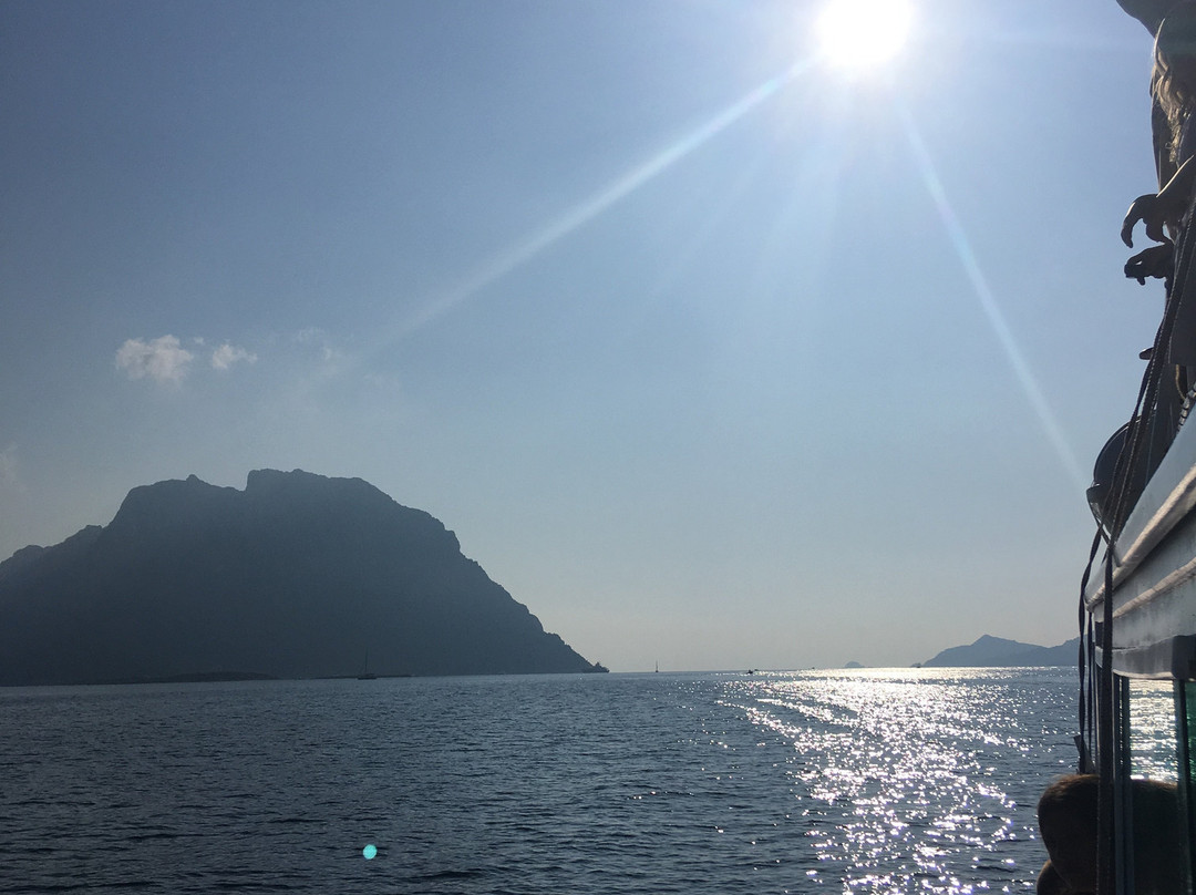 L'Area Naturale Marina Protetta Tavolara - Punta Coda Cavallo-奥尔比亚必去景点