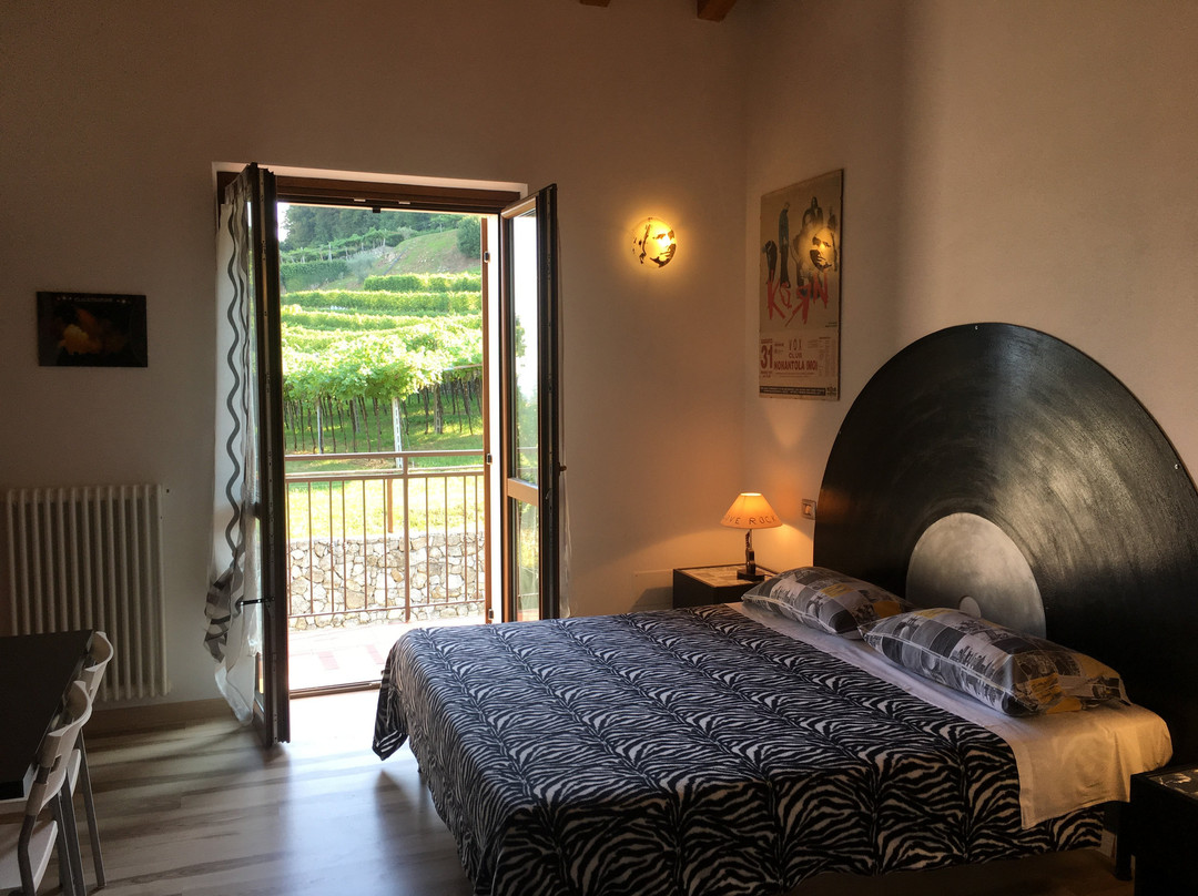 Agriturismo La Bella Vigna主图
