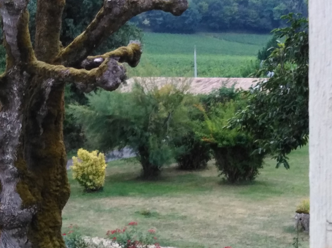 Chateau des Faures主图