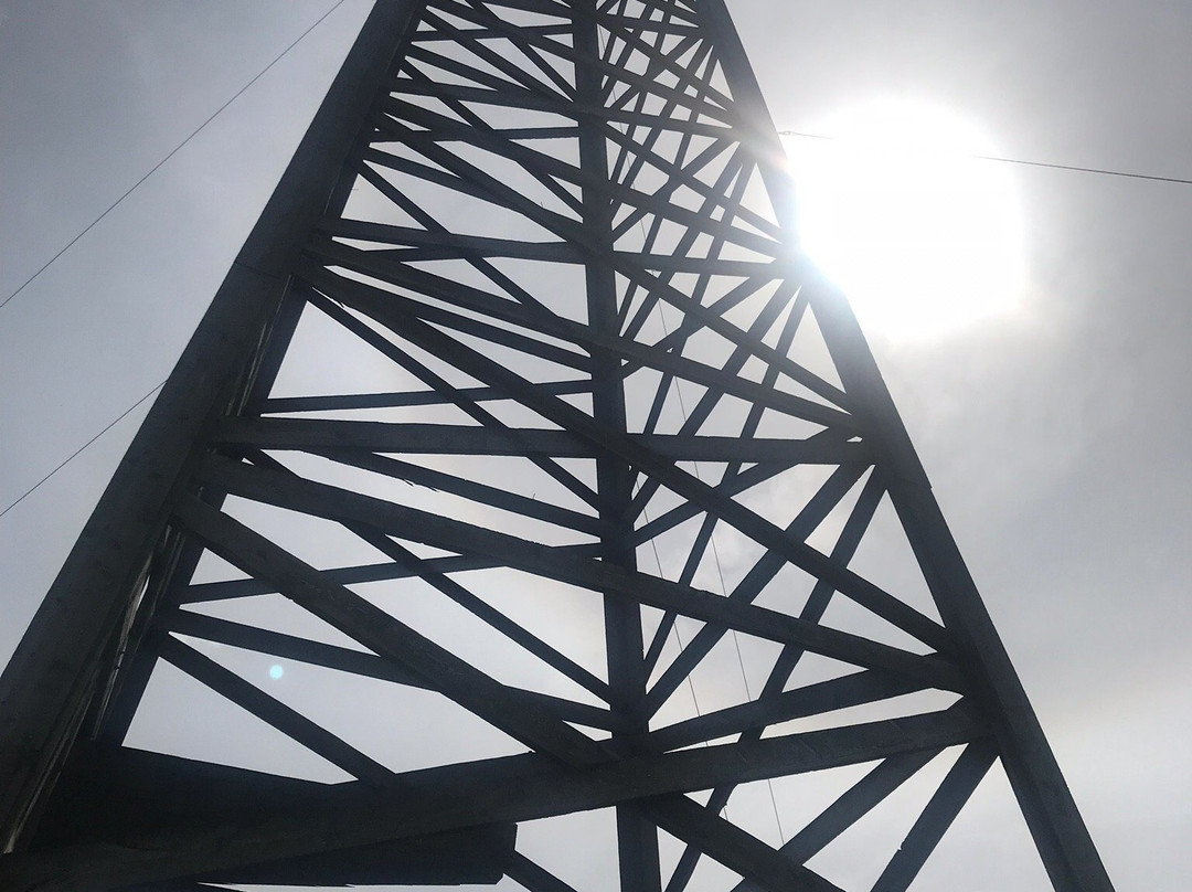 Fernie Visitor Information Centre-弗尼必去景点