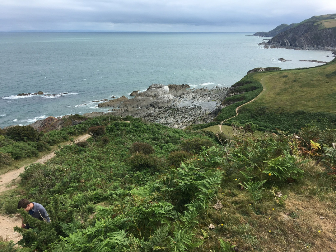 Warcombe Farm Camping Park主图