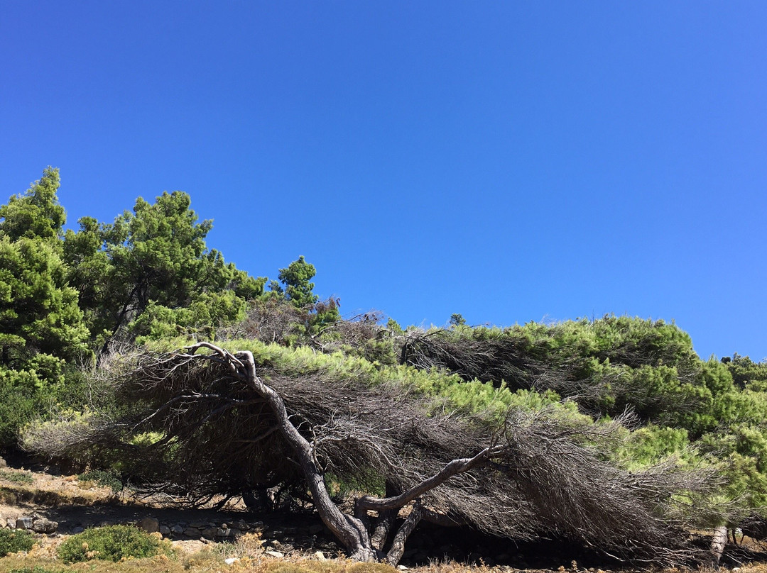 Tsoukalia Beach景点图片